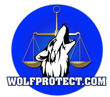 Wolfprotect Bankruptcy Law Office